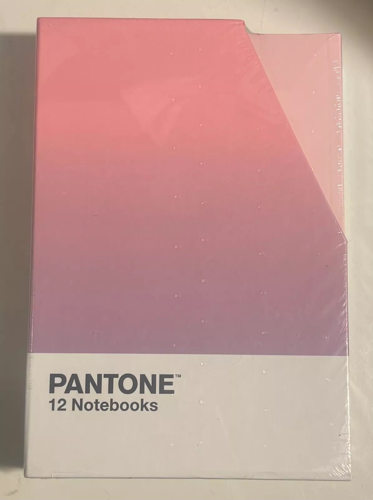 Pantone 12 Notebooks